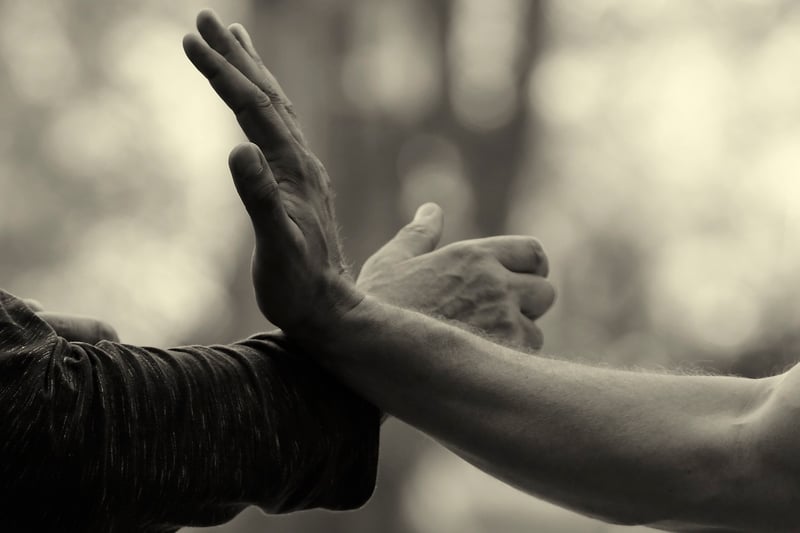 Tai Chi Posture